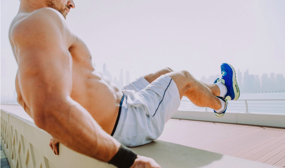 muscle growth, muscle protein synthesis