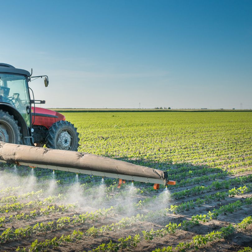 estrogen dominance xenoestrogens