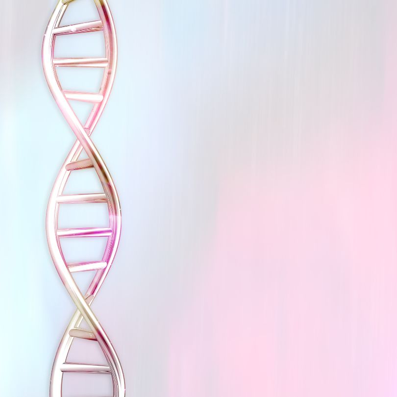 COMT and estrogen dominance