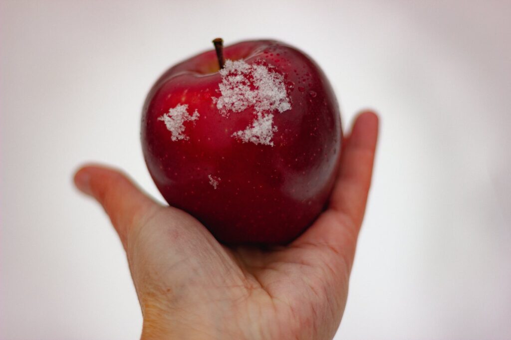 hand holding apple with hoarfrost